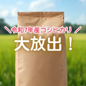 令和７年度米コシヒカリ